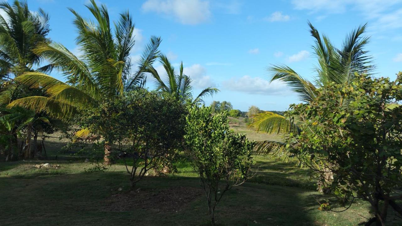 Sainte-anne, Location T2 Sun Hollidays Appartement *