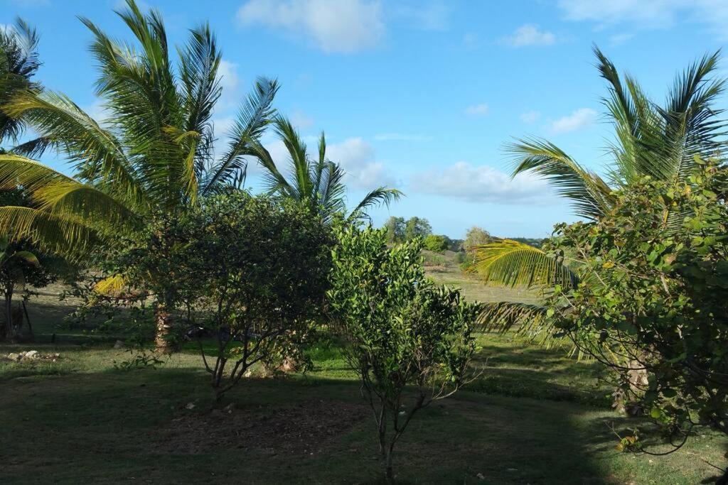 Sainte-anne, Location T2 Sun Hollidays Appartement Sainte-Anne (Grande-Terre)